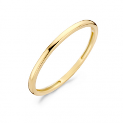 Geelgouden Ring 14K - maat 52