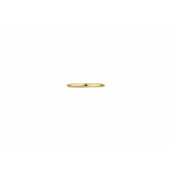 Geelgouden Ring 14K - maat 52