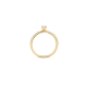 Blush geelgouden ring - 1132YZI/54