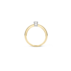 Geelgouden ring met zirkonia - maat 54 (2,8/4mm)