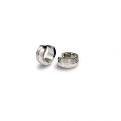 Titanium Oorcreolen Glanzend/Mat