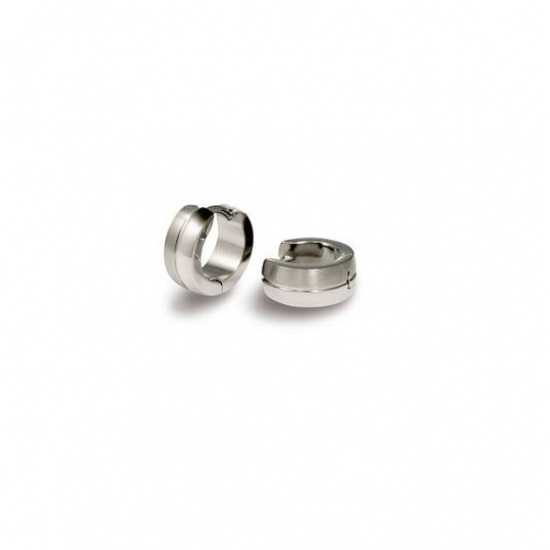 Titanium Oorcreolen Glanzend/Mat