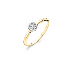 Blush Bi-color Diamant Ring 0,20crt 14K - maat 56