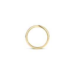 Blush Geelgouden Ring - glad - maat 54