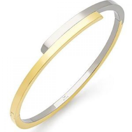 Bi-color Vergulde Titanium Armband