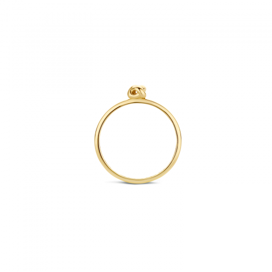 Blush geelgouden ring - 1193YGO/52