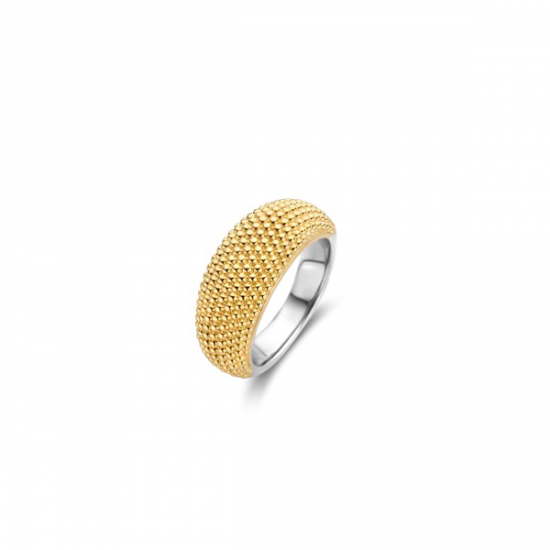 TSM Zilver 18K Vergulde Ring