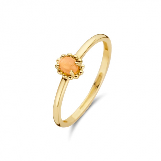 14K Geelgouden Ring met Oranje Kattenoog - maat 54