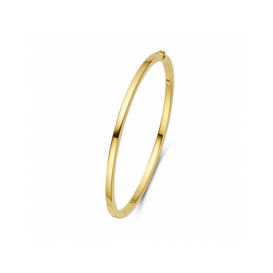 bangle scharnier vlakke buis 3,0 x 60 mm